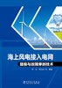 海上风电接入电网建模与故障穿越技术 商品缩略图1