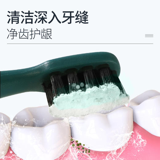 【品牌方直销】纯春堂云南本草珍珠亮白牙粉50g洗牙洁牙去黄亮白去牙渍牙结石 商品图9