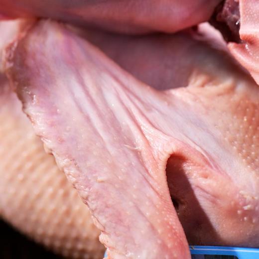 花边鸭(切块) 约800g/半只 商品图3