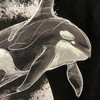 【周边T恤】Seaplay海洋元素宽松T-shirt  首件送钛钢项链！ 商品缩略图3