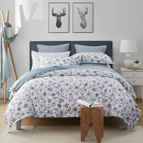 高支长绒棉 弗洛尔田园印花四件套