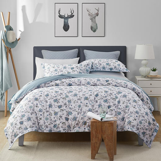 高支长绒棉 弗洛尔田园印花四件套 商品图0