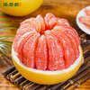 臻碧乡x梅州大埔红肉蜜柚丨生态养殖(合作果园) Red Flesh Pomelo 商品缩略图3