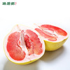 臻碧乡x梅州大埔红肉蜜柚丨生态养殖(合作果园) Red Flesh Pomelo 商品缩略图8