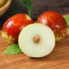 新鲜脆枣500g 商品缩略图1