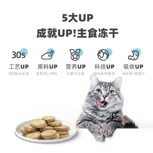 有鱼UP生骨肉主食冻干200g全阶段猫零食助发腮 商品图1