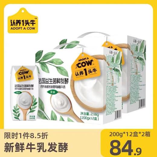 认养一头牛200钻原味酸12入 200g*12盒*2整箱 商品图0