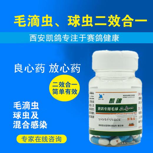 球虫毛滴虫二合一胶囊60粒精神不振羽毛耸立饮水多黑鼻头鸽子瘦凯鸽