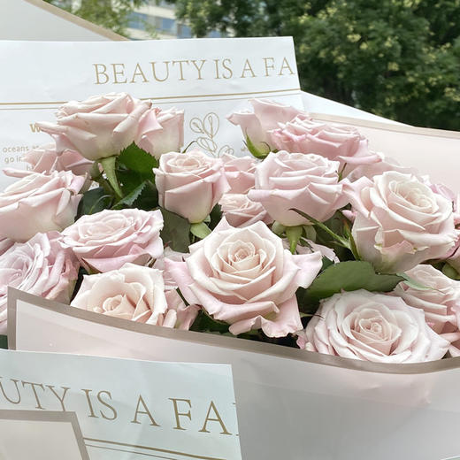 33支曼塔玫瑰 商品图1