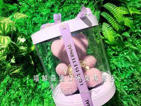 紫钻经典熊（中号）