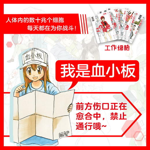 【全5册】工作细胞漫画 套装全5册 同名动漫官方正版漫画书籍 清水茜著 商品图5