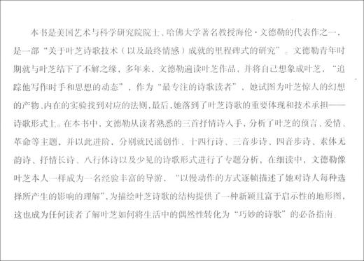 我们隐秘的法则:叶芝与抒情形式 商品图3