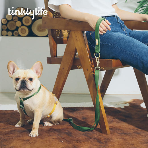 Tinklylife  彩虹系列 专业牵引绳 商品图2