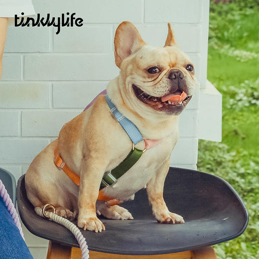 Tinklylife 彩虹系列工字型胸背带 商品图1