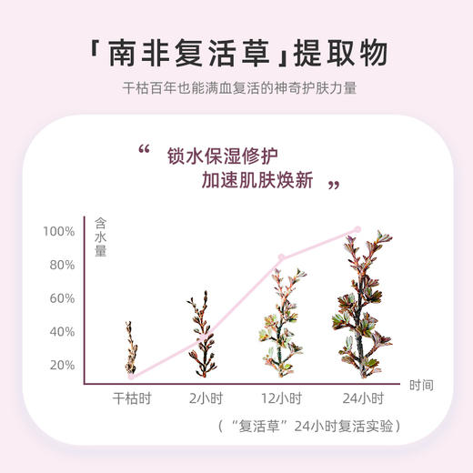 【抗初老精华】MIZUOASIS/觅水之庭赋活莹润精华液 商品图1