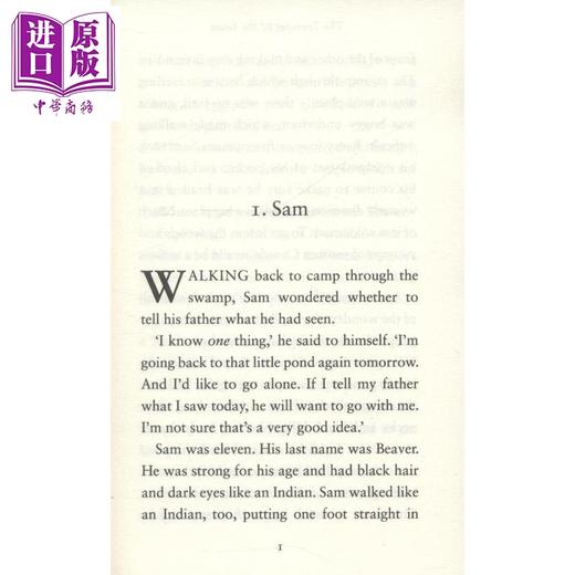 【中商原版】E. B. White：The Trumpet of the Swan 企鹅文学入门：吹小号的天鹅 经典儿童文学 英文原版 进口图书 12岁以上 商品图4