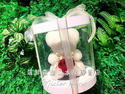 白钻永生玫瑰熊（中号） 商品图0