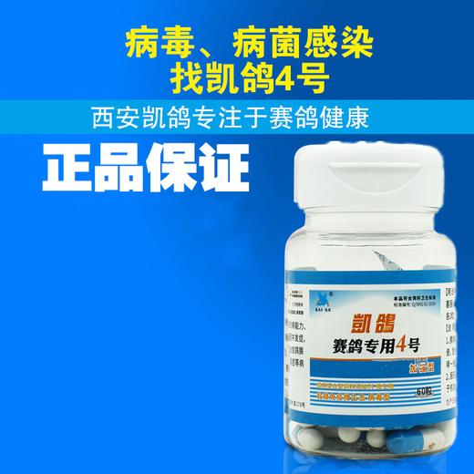 凯鸽4号胶囊60粒顽固性水便鸽子药新城疫病毒克星