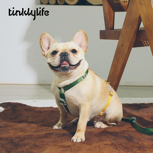 Tinklylife 彩虹系列工字型胸背带 商品图2