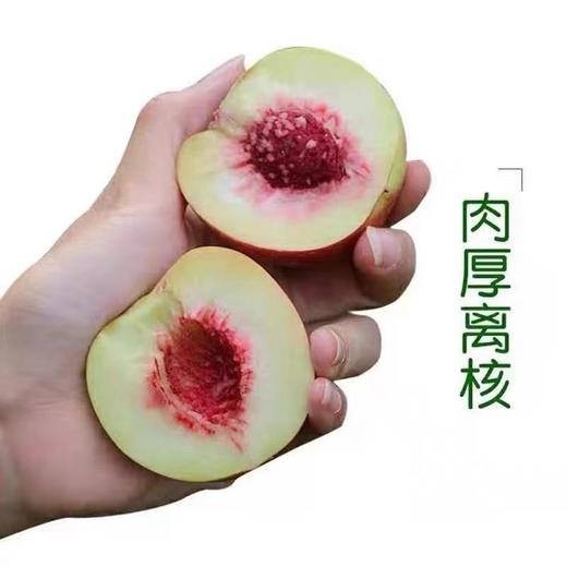 【社群专享】次日起提 陕西珍珠枣桃  社群专享价13.8/份（2斤，±50g） 商品图1