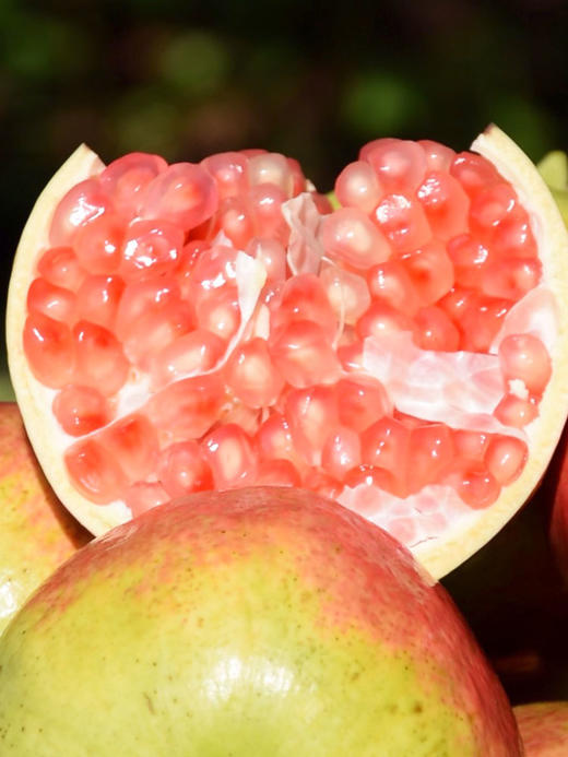 现摘新鲜软籽石榴特级果5斤装 商品图2