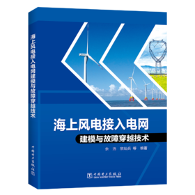 海上风电接入电网建模与故障穿越技术