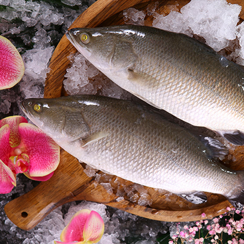 宏大水产 三去开背淡盐游龙斑鱼350-400g/条/3条起售