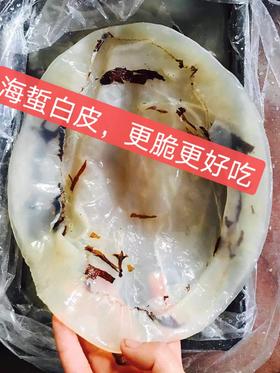 【野生海蜇皮、海蜇头】常温保存、冷水泡淡、不能用热水