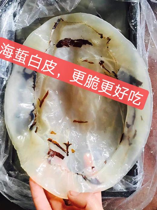 【野生海蜇皮、海蜇头】常温保存、冷水泡淡、不能用热水 商品图0