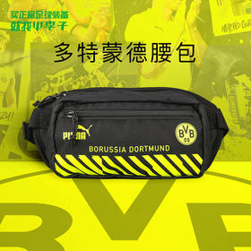 PUMA/彪马 多特蒙德运动休闲腰包07722203