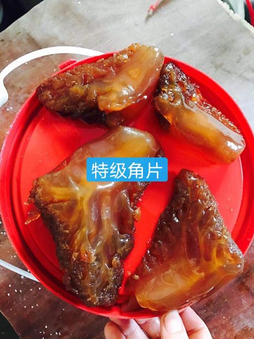 【野生海蜇皮、海蜇头】常温保存、冷水泡淡、不能用热水 商品图1