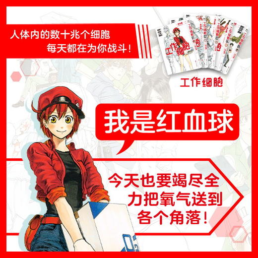 【全5册】工作细胞漫画 套装全5册 同名动漫官方正版漫画书籍 清水茜著 商品图3