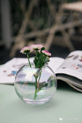  推广|| 实不相瞒，这3年逛最多的网店是这家！ 