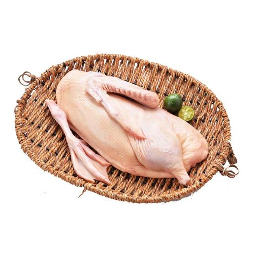 花边鸭(切块) 约800g/半只 商品图0