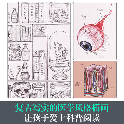 人体立体书 解剖探索身体运转奥秘 商品图5