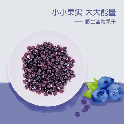 自然集野生蓝莓干(180g*2袋) 商品图0