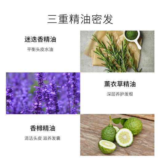 【授权商品】迷迭香奇迹水韧发减少掉发洗发水护发素小套装缔丝初源意大利进口小防脱套装250ml+250ml 商品图1