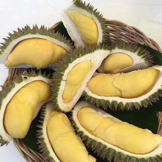 辣辣黄的长柄干尧榴莲久违了,个个都是唯一,圆滚滚的a果 所以赶紧拍哈