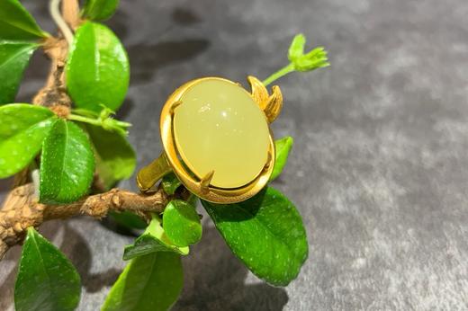 【御珠宫坊•君雅系列】金镶黄玉竹节戒指 商品图1