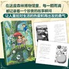 下雨的书店:雨中森林 商品缩略图3
