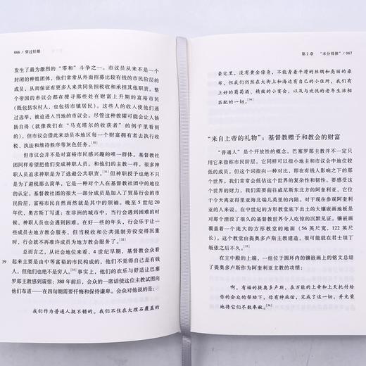 甲骨文丛书·穿过针眼（上下精装）：财富、西罗马帝国的衰亡和j*d*教会的形成 商品图2