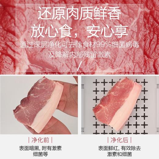 海尔果蔬净化清洗机洗菜机肉清洗消毒解毒机家用净食机除菌全自动净化去农残台式可拆卸 HJ-F720D 商品图9