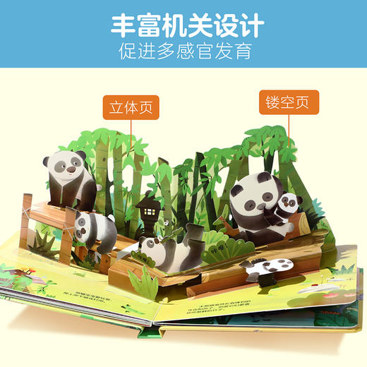 乐乐趣揭秘新品-揭秘小世界第三辑（4册）立体小世界 商品图2