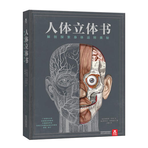 人体立体书 解剖探索身体运转奥秘 商品图0