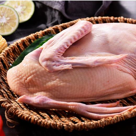 花边鸭(切块) 约800g/半只 商品图2