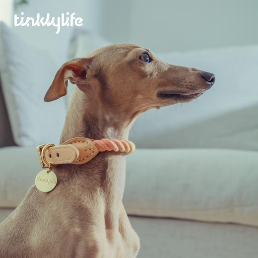 Tinklylife RAINBOW系列真皮拼绳彩虹项圈 商品图2
