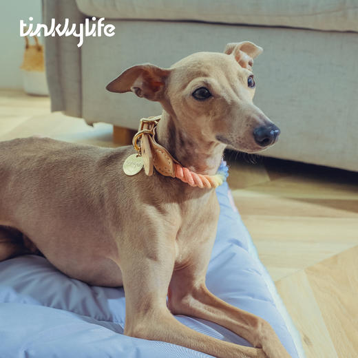 Tinklylife RAINBOW系列真皮拼绳彩虹项圈 商品图3
