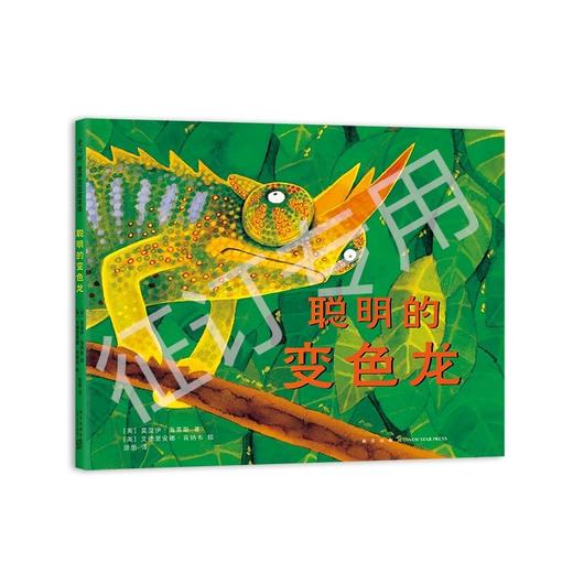 聪明的变色龙 商品图0