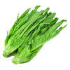 【团购自提】诺鲜油麦菜500克/份 商品缩略图0