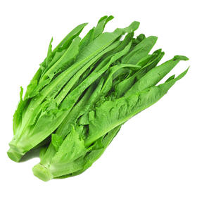 【团购自提】诺鲜油麦菜500克/份